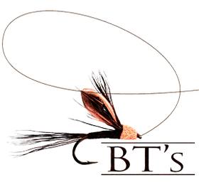 BTS logo