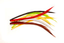 Veniard Turkey Biots