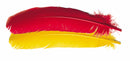 Veniard Turkey broad Wing Quill Dyed