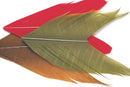 Veniard Condor substitute