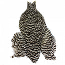 Whiting 4B Hen Capes