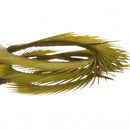 Semperfli Natural Range Goose Biots