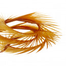 Semperfli Natural Range Goose Biots