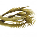 Semperfli Natural Range Goose Biots