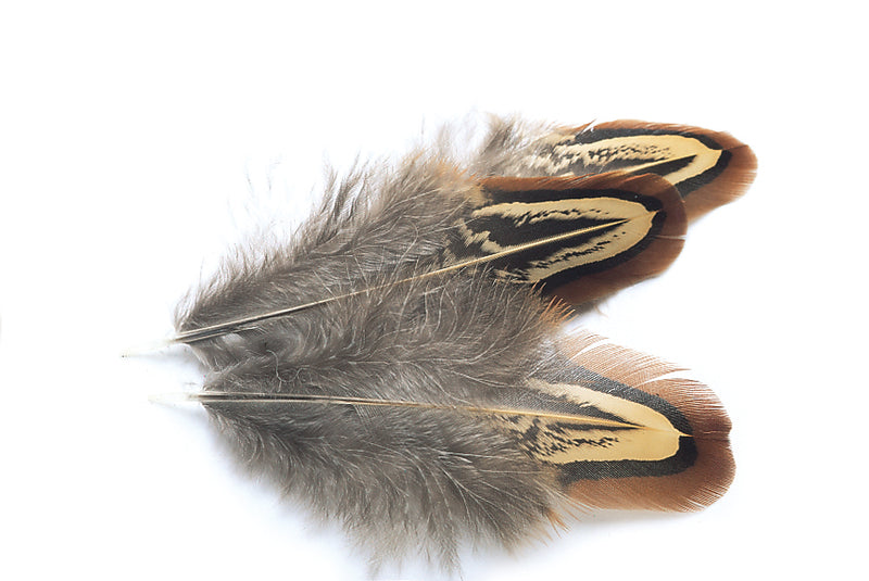 Veniard Pheasant Cock Shoulder (church windows) Natural