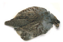 Veniard English Partridge complete skin - Natural
