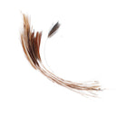 FRANC N SNAELDA Franc N Feelers