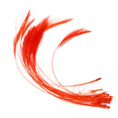 FRANC N SNAELDA Franc N Feelers