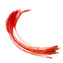 FRANC N SNAELDA Franc N Feelers