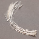 FRANC N SNAELDA Franc N Feelers