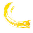 FRANC N SNAELDA Franc N Feelers