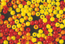 Veniard Firefly hot head plastic beads
