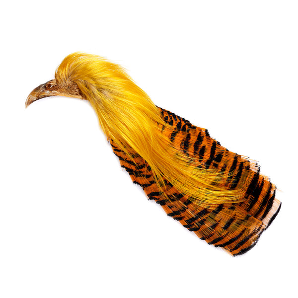 Veniard Golden Pheasant No 2 complete head Natural