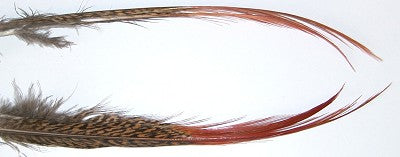 Veniard Golden Pheasant Red spears Natural