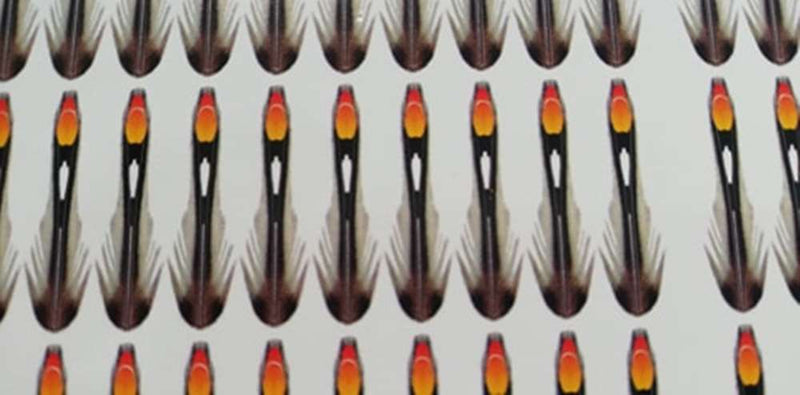 Semperfli Synthetic Jungle Cock - Small - 17mm - (180 feathers Bulk Pack)