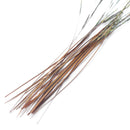 Veniard Hand Stripped Peacock Quills