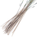 Veniard Hand Stripped Peacock Quills