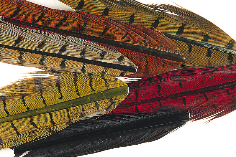 Veniard Cock Pheasant Centre Tails - 6 popular coloured pieces