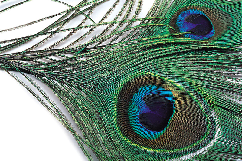 Veniard Peacock eye top for fly tying