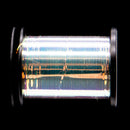 Semperfli Perdigon Body Tinsel