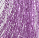 Semperfli SemperFlash Mirror Flash