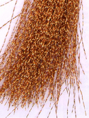 Semperfli SemperFlash Krystal Flash