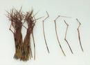 Veniard Cock Pheasant Daddy Legs - Natural for fly tying