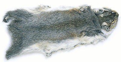 Veniard Grey Squirrel Natural whole  Skin