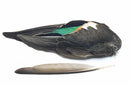 Veniard Teal Duck Whole wings - Natural FOR FLY TYING
