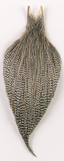 Whiting Cock Necks Whole - Bronze Grade