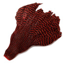 Finesse Fly Tying Genetic Hen Cape Grizzly - Red FOR FLY TYING