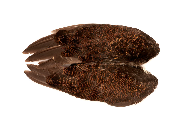 Veniard Grouse whole wings - Natural