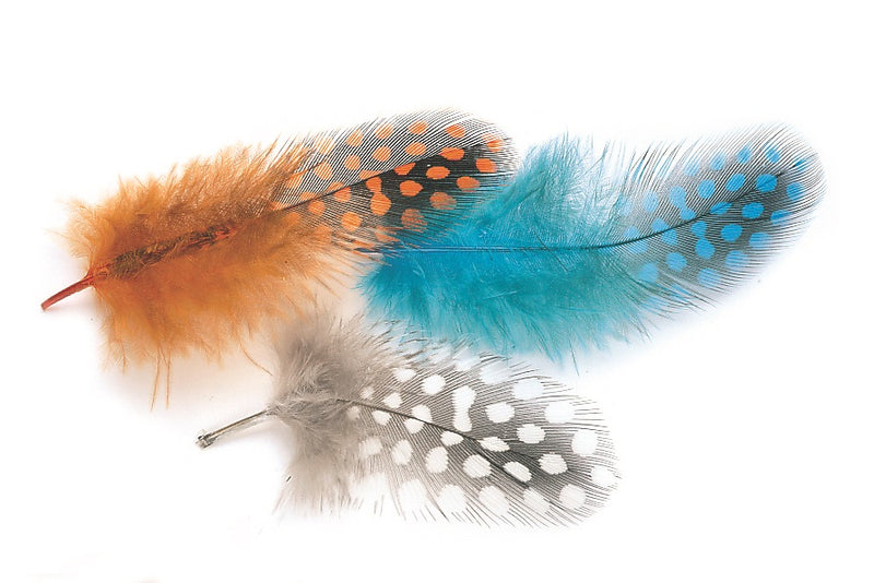 Veniard Guinea fowl feathers for fly tying