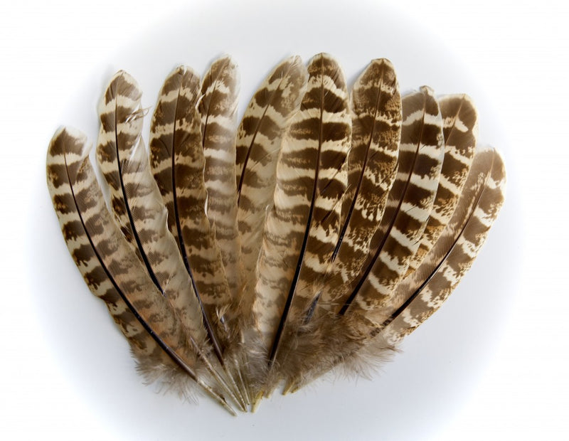 Veniard Hen Pheasant Wing Quills for fly tying