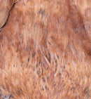 Veniard Indian Hen Capes