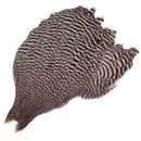 Metz Genetic Hen Neck - Grade 1