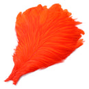 Metz Genetic Hen Neck - Grade 1