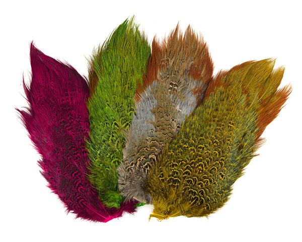 Pheasant Feather – Carl & Priscilla