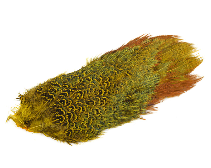 Nature's Spirit Ringneck Pheasant Rump Patch FINESSE FLY TYING