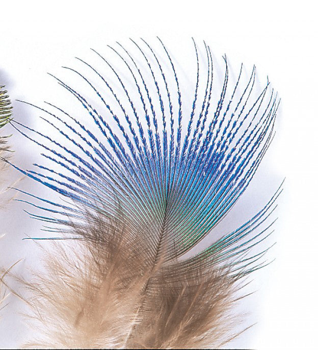 Veniard Peacock blue neck - Natural FOR FLY TYING