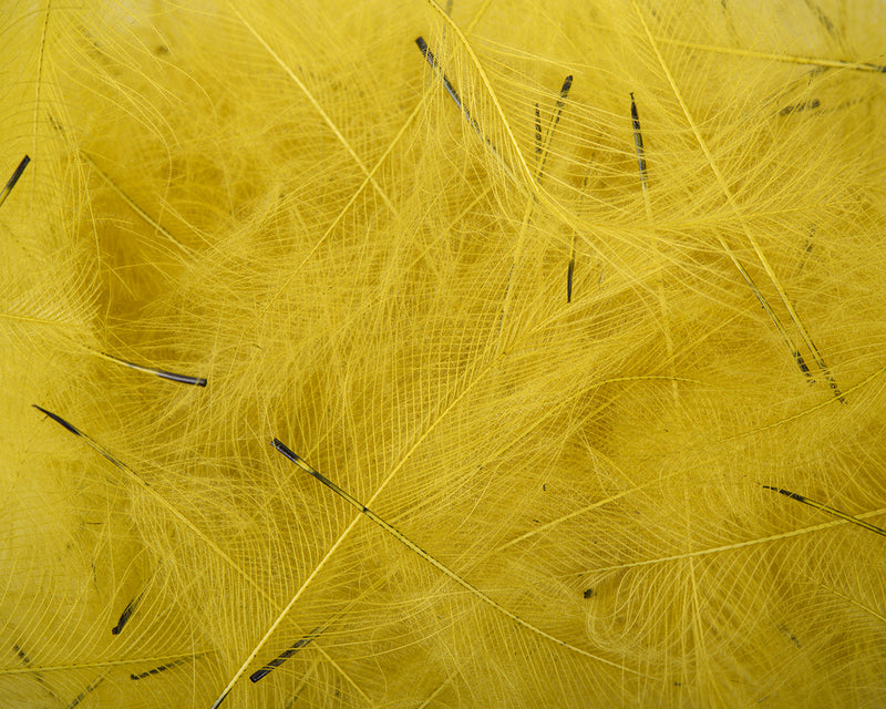 petitjean cdc for fly tying dirty yellow