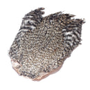 turrall cock neck cape grizzle complete for fly tying