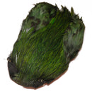 turrall cock neck cape olive complete for fly tying