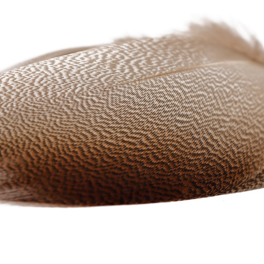 Bronze Mallard Feathers | FINESSE FLY TYING | FAST SHIPPING