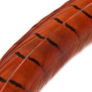 Veniard Cock Pheasant Centre Tails