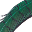 Veniard Cock Pheasant Centre Tails