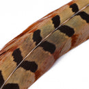 Veniard Cock Pheasant Centre Tails