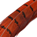 Veniard Cock Pheasant Centre Tails