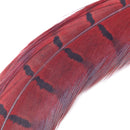 Veniard Cock Pheasant Centre Tails