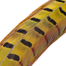 Veniard Cock Pheasant Centre Tails